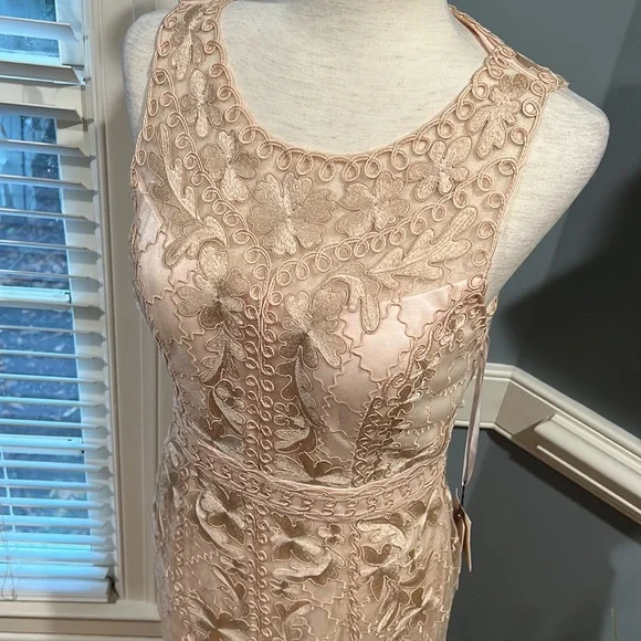 Gorgeous Sue Wong champagne embroidered dress - Picture 2 of 6